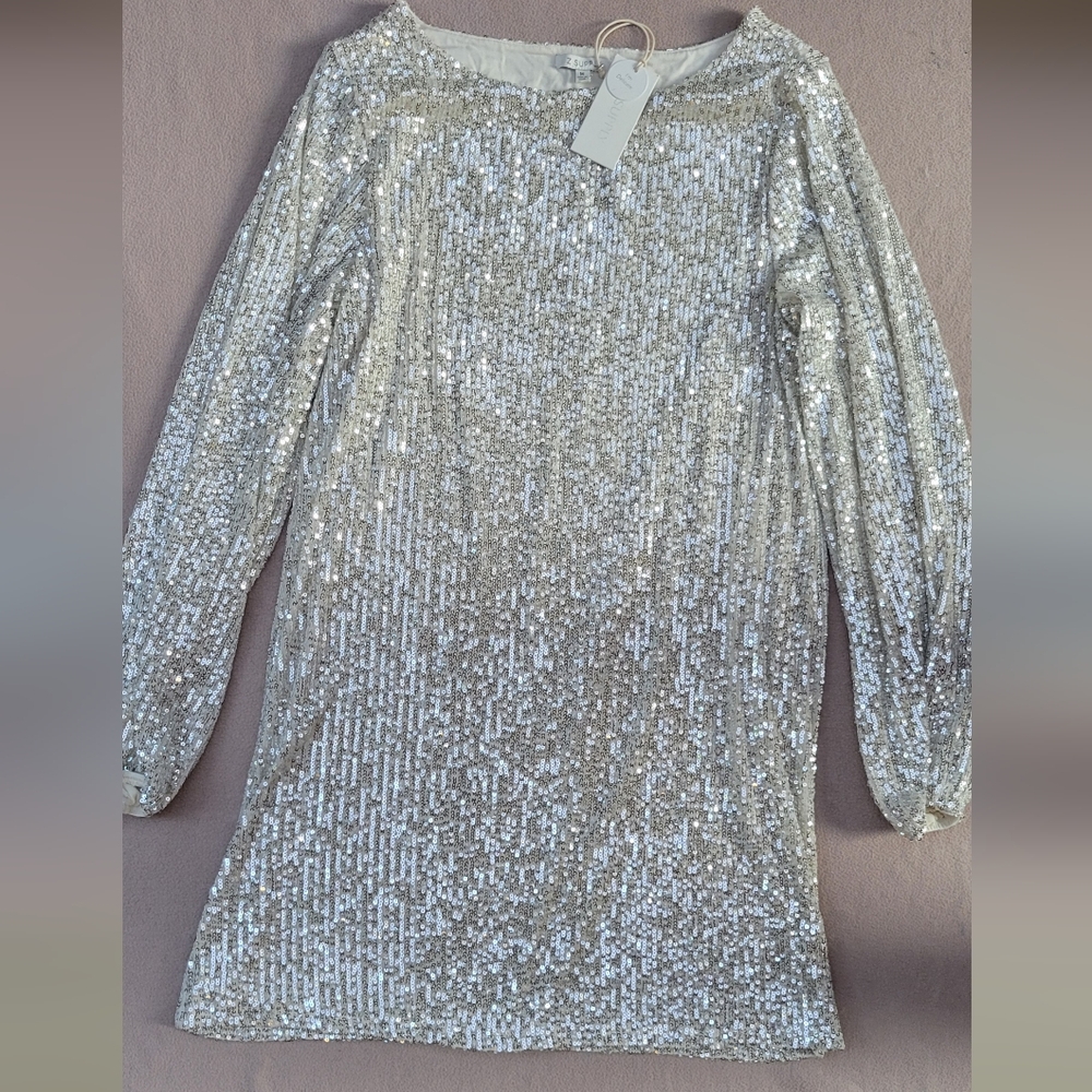 Z SUPPLY Sequin Mini Dress Size M Silver Lined NWT Style ZD234255S RN135090